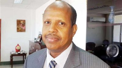 وزير خارجية جيبوتي: نرفض المساس بأمن السعودية