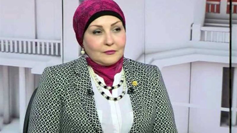 هالة أبو السعد: مشروع