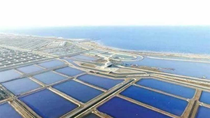 شاهد بالفيديو.. الاستعدادات