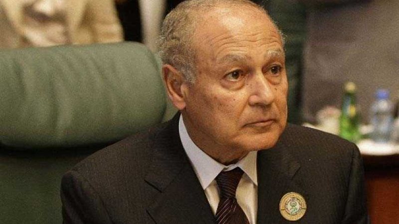 أبو الغيط: إجماع