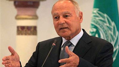 أبو الغيط سيقدم تقريرا للعاهل الأردني حول أوضاع المنطقة