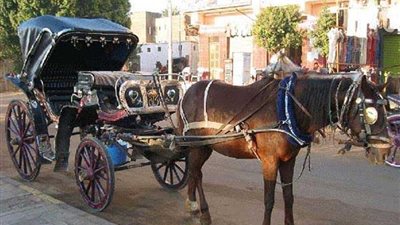 مذيعة إكسترا نيوز: تخلصوا من زحمة المواصلات بـ