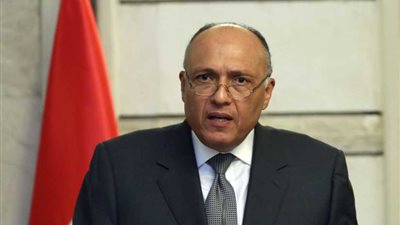 شكري: نعمل مع الأمم المتحدة لنحقق السلام (فيديو)