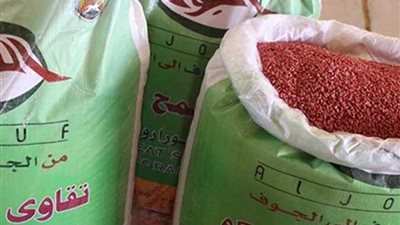 رئيس مركز المنيا يعلن توفير تقاوي القمح بالجمعيات الزراعية