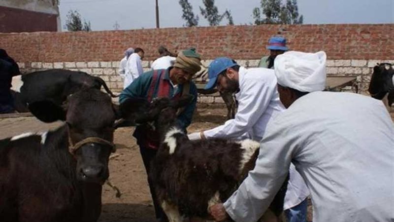 الزراعة: ذبح 122