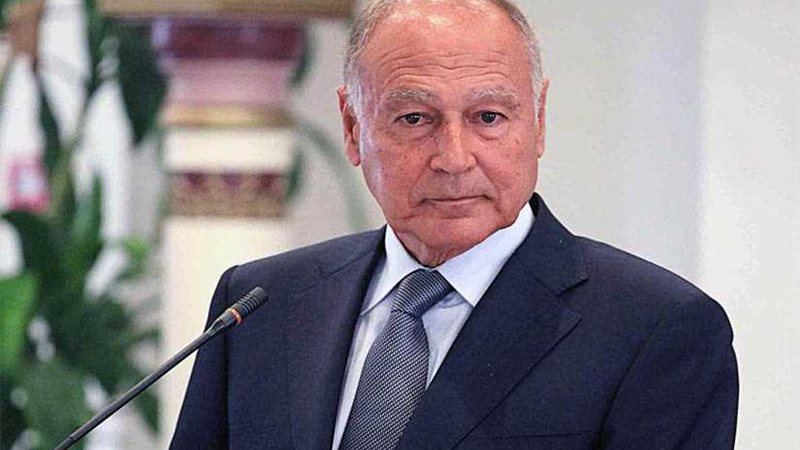 أبو الغيط: وزراء