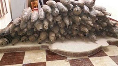 مكافحة المخدرات تضبط 29 كيلو بانجو و109 آلاف قرص مخدر