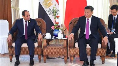 الرئيس الصيني للسيسي: ندعم مصر ضد الإرهاب