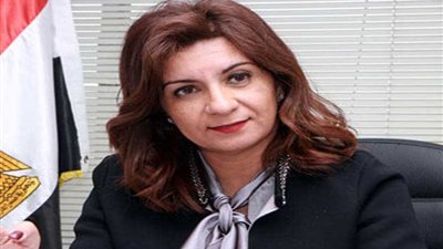 بالفيديو.. وزيرة الهجرة توضح التفاصيل لدعم أهالي حادث الروضة الإرهابي