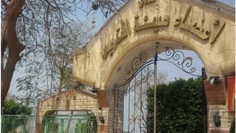 أعضاء هيئة التدريس