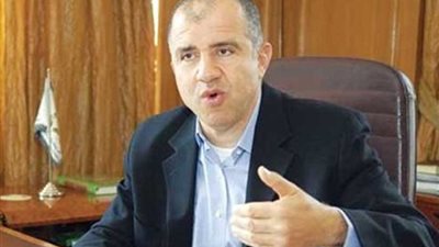 السويدي: مستعدون للشهادة لتخليص مصر من الإرهابيين