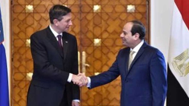 باهور يؤكد للسيسي