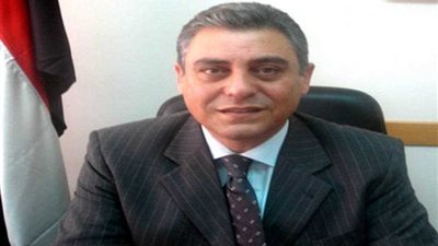 سفير مصر لدى إسرائيل : الدولة المصرية قادرة على هزيمة الإرهاب