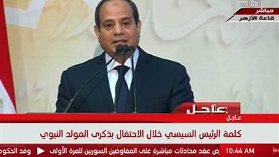 بالفيديو| السيسي: هنخلي مدينة الروضة بسيناء يشار إليها بالبنان