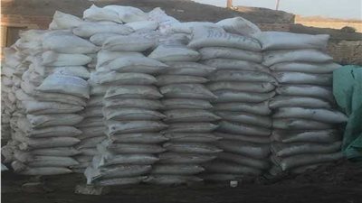 الصحة: ضبط 57.5 طن ملح يودي فاسد بمعمل لمنتجات الألبان بالدقهلية