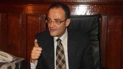 رئيس مكتب التعاون الدولي يؤكد استقلالية النيابة العامة المصرية