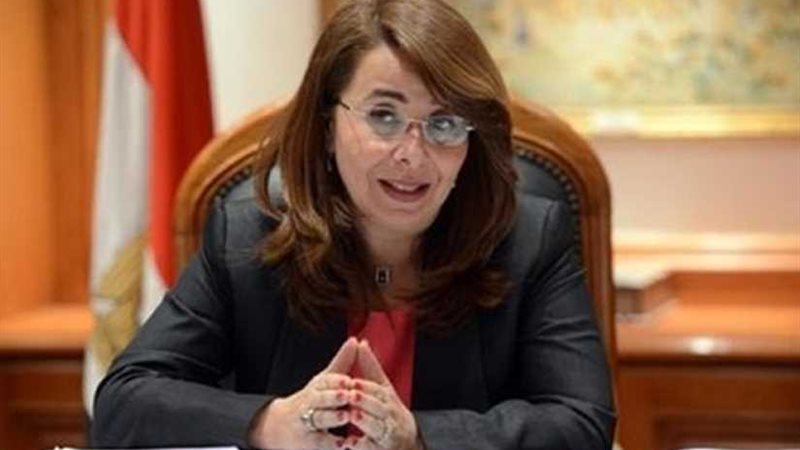 التضامن تعرض تجربة