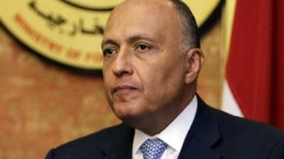 شكرى يجرى لقاءً مع نظيره الإثيوبى