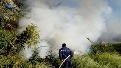 السيطرة على حريق بمحطة البحوث الزراعية بالوادي الجديد (صور)