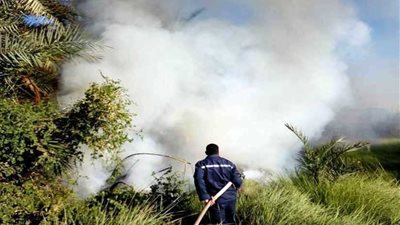 الزراعة تكشف خسائر حريق 