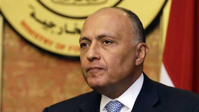 شكري يبحث مع نظيره الإيطالي العلاقات الثنائية وموضوع سد النهضة