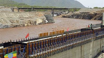 شكري يستعرض مع موجيريني في روما الجمود الذي يعتري المسار الفني لسد النهضة