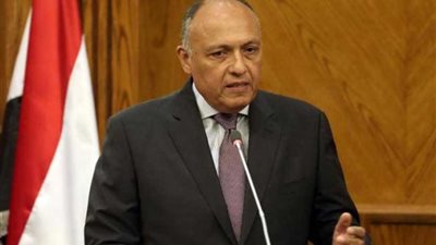 شكري والجبير ناقشا التطورات في المنطقة علي هامش