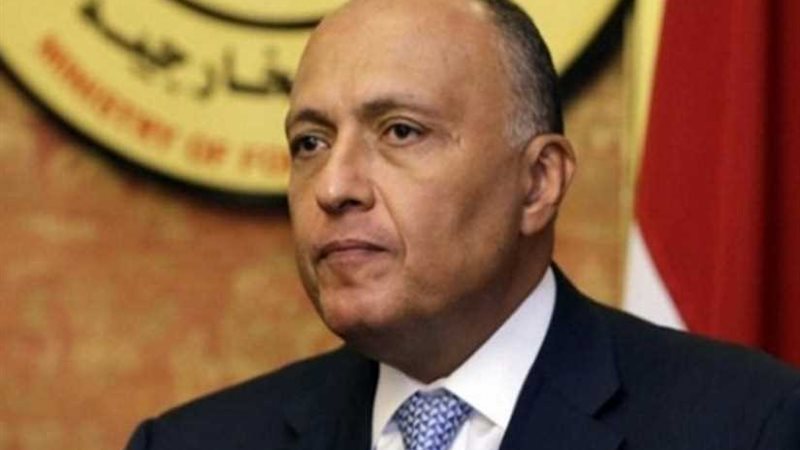 شكرى يجرى لقاءً مع