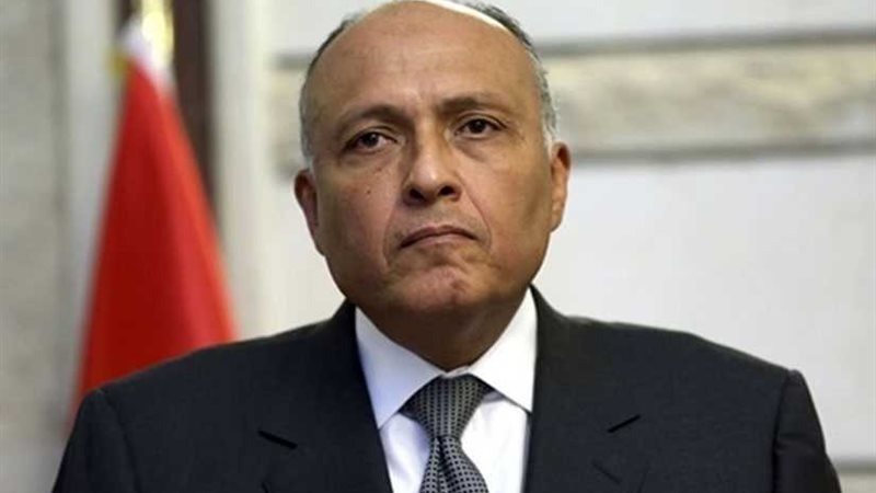 شكري: يجب حماية الشباب