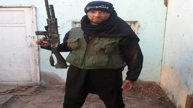 تامر شلتوت ينفي انضمامه