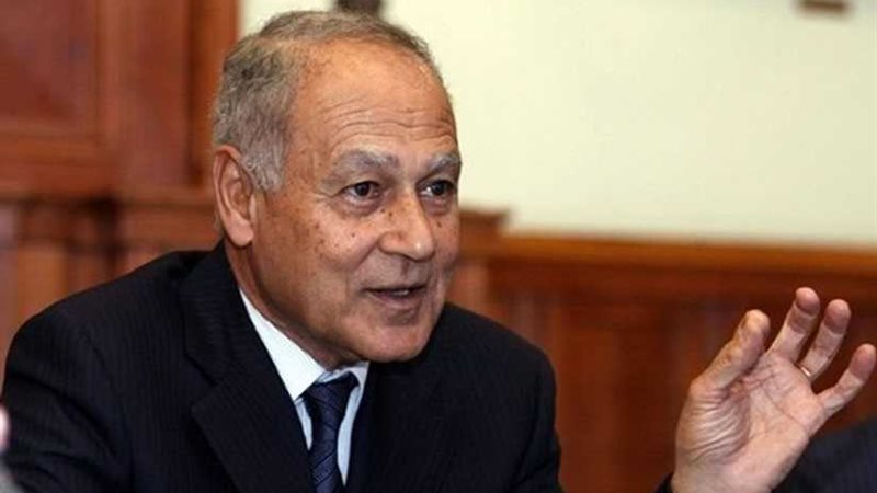 أبو الغيط: أي نظام