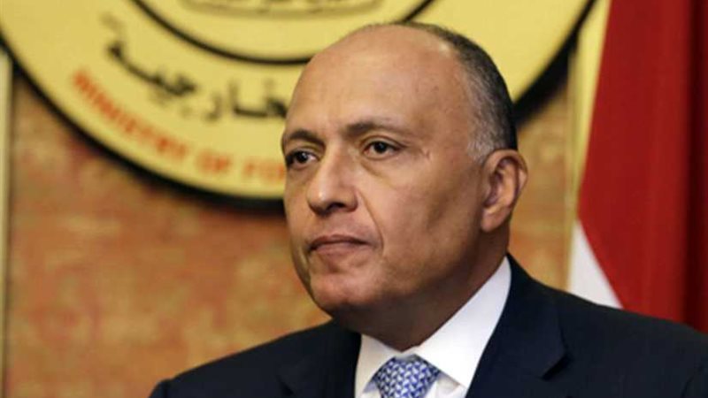 شكري يبحث مع نظيره