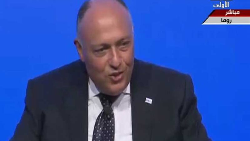 سامح شكري: التنمية