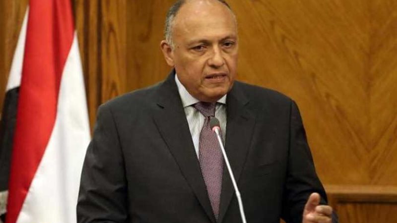 شكري والجبير ناقشا