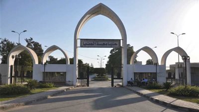 برنامج لإدماج الرجال في مناهضة العنف ضد المرأة بالمنيا