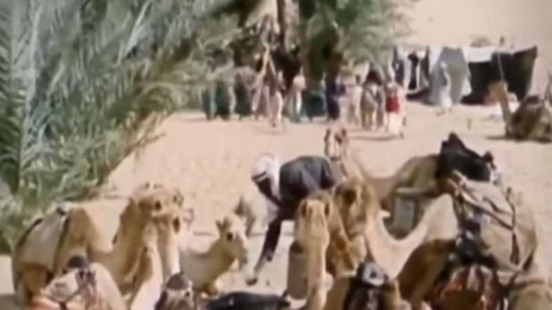 فيلم تسجيلي للإمارات