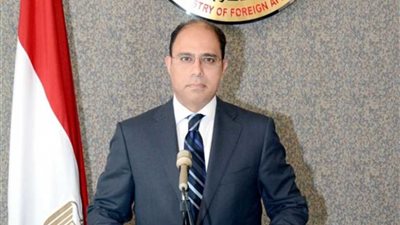 مصر تعرب عن قلقها البالغ إزاء تطورات الوضع في اليمن