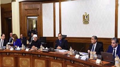 الحكومة: تخصيص أسهم إضافية لمصر بـ