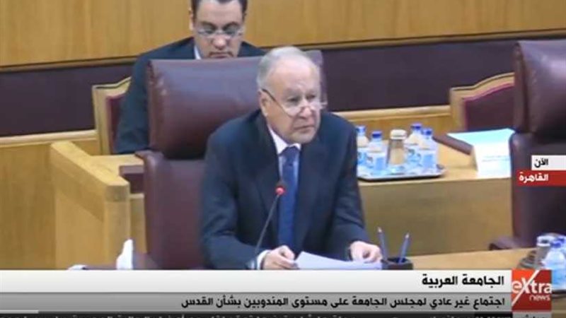 بالفيديو .. أبو الغيط: