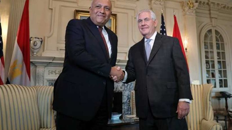 شكري يستعرض مع نظيره