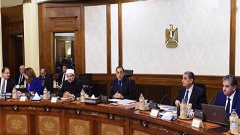 الحكومة: تخصيص أسهم