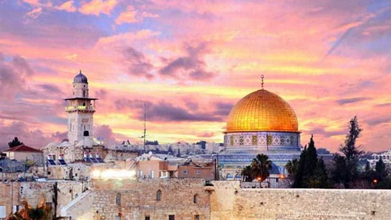 المنظمات الشعبية