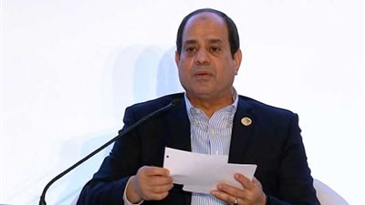 السيسي: قانون الاستثمار الجديد يشجع الشباب (فيديو)