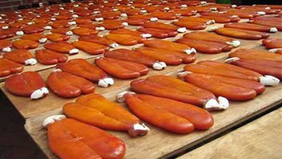 بالصور.. إقبال كبير على أسماك البوري والبطارخ بدمياط