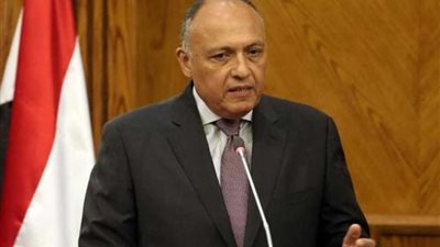 وزير الخارجية يلتقي نظيره الأردني قبل الاجتماع الطارئ للجامعة العربية