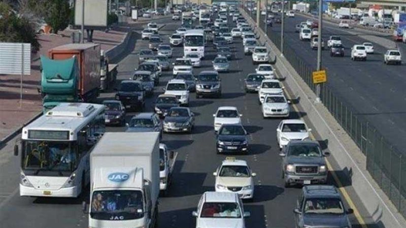 بالفيديو| تعرف علي