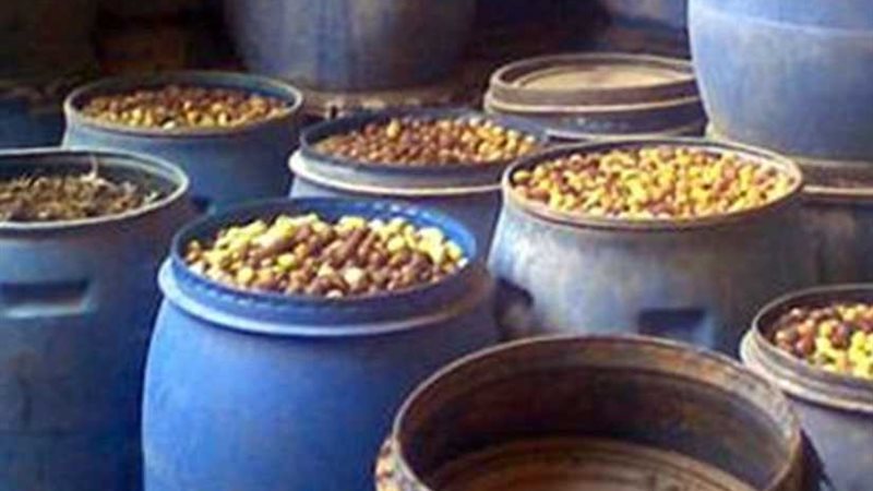 ضبط مصنع مخللات بدون