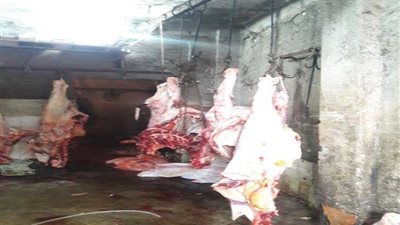 ضبط 925 كيلو لحومًا غير صالحة للاستهلاك الآدمي داخل مجزر بدمنهور 