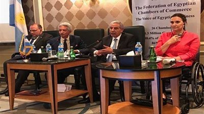 قابيل: تنسيق كامل مع الأرجنتين لتنمية الاستثمارات المشتركة 