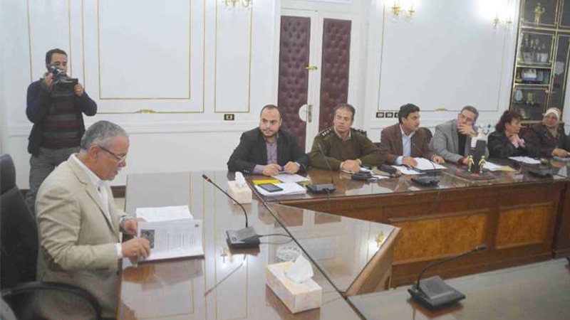 لجنة تجميل المنيا